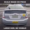 STUDENT DRIVER 4-pack Laminated Removable High Quality Decals FREE SHIPPING