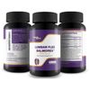 Lumbar Flex Balmorex Pro Plus Back Supplement - Natural Back Support Supplement