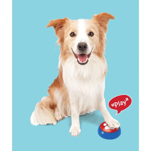 SPOT Easy-Talk-Dog Buttons for Communication, 20s Voice Recording Buttons, Pet Training Buzzer, Speaking Buttons for Cats & Dogs Voice, Dog & Puppy Training & Behavior Aids, 3Pcs