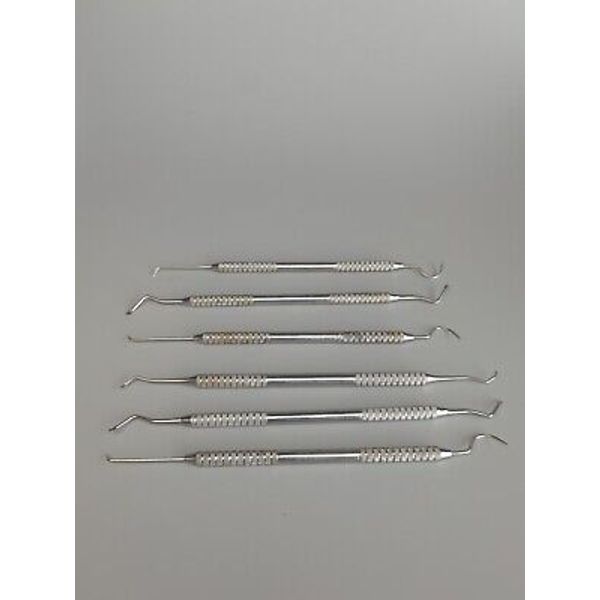 Silmet Dental Stainless USA Professional Kit 6 PC Scaler Probe Dentist Tool Set