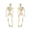 Acxico 2Pcs Halloween - Skeleton - 1:12 Scale Mini Miniature