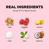 Refresh Plant Based Chewing Gum Sugar Free Non GMO 6 Count Variety Pack