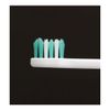 [Bulk Purchase 12 Piece Set] Lion Bitoon Toothbrush, Ultra Compact, Regular + Kunutonn Original Logo e Bonus
