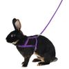 Kerbl Shoulder Harness Agility with Leash, Medium, 2 m