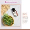 Rocky Mountain Oils Sacred Immune Strength Essential Oil Blend - 100% Pure and Natural Essential Oils for Diffuser, Topical, and Home - 15ml