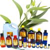 4 oz Eucalyptus Essential Oil - 100% PURE - Dispenser Lid - Aromatherapy
