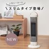 Ceramic fan heater with remote control