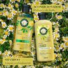 Herbal Essences Shine Collection Conditioner 13.5 Fl Oz