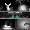 Trail Camera36MP 4K 0.2S Trigger Motion Activated Game Hunting Scouting Wildlife