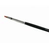 Beauty AM Eyelash Tinting Brush