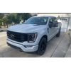 Touch Up Paint for Ford F150 with paint code DR, Avalanche Gray.