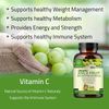 Amla Capsules (Phyllanthus Emblica) – Amalaki amla 120 Capsules | Natural Antioxidants Superfood | Herbal Supplement Made with Organic Amla Fruit Powder