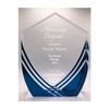 Personalized Award Above and Beyond, Customizable Solid Acrylic Trophy Shield Shaped, Business Awards with Custom Text