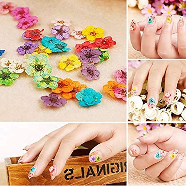 3D Dry Flowers Nail Stickers Colorful Natural Real Flower Nail