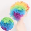 Samcos Wig, Clown Wig, Bomber, Afro Wig, 1 Set, Afro Wig, Net, Stand Out, Cosplay, Party, Stage, Show, Unisex, Costume, Accessory, Halloween Costume, Rainbow
