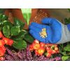 Summit Mosquito Bits Organic Mosquito Control 20lbs.   1191