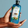Herbal Essence Biolino Argan Oil Shampoo