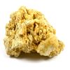 EISCO Coquina Specimen (Sedimentary Rock), Approx. 1" (3cm)