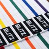 Blitz Striped Belt, Multicoloured(White/Orange) , 250 cm