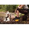 Julius-K9 Premium Jogging Lead, 1.3 m, Neon