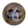 C Blue Skull Skeleton Dead Horror Initial Monogram Letter PopSockets Swappable PopGrip