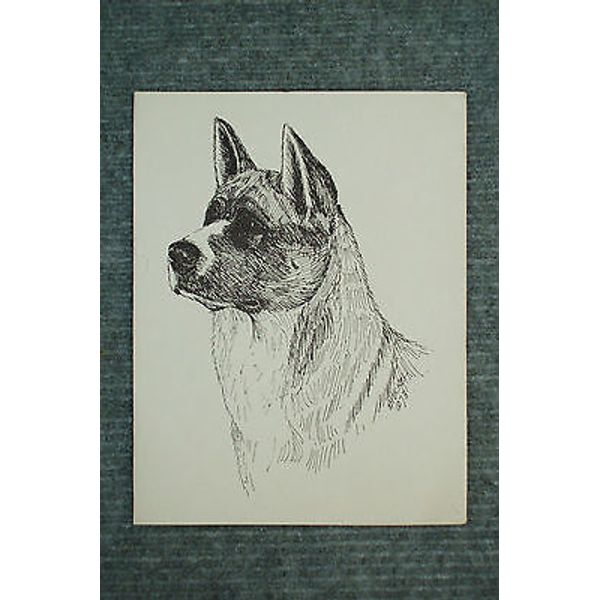 Akita Pen and Ink Stationary Cards, Note Cards, Greeting Cards. 20 pack.