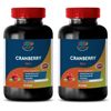 Concentrated Cranberry Extract  - CONCENTRATED 50:1 CRANBERRY - 400 Bladder - 2B