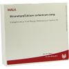 Mesenchym/calcium carbonicum comp. ampoules 5 x 10 ml