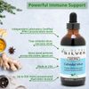 FREE SHIPPING!!! 2 PACK - SILVER 1000 PPM 4 OZ.- IMMUNE SUPPORT