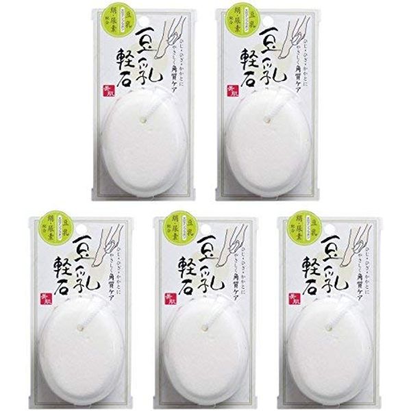 (Bulk Purchase) Soy Milk Pumice Stone (5 Pieces)