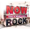 Now That's What I Call Rock