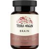 Terra Origin, Healthy Brain Supplement, Capsules, 30 Servings, with CDP Choline,