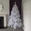 Snowtime 7ft (210cm) White Colorado Pine Christmas Tree with 874 Tips