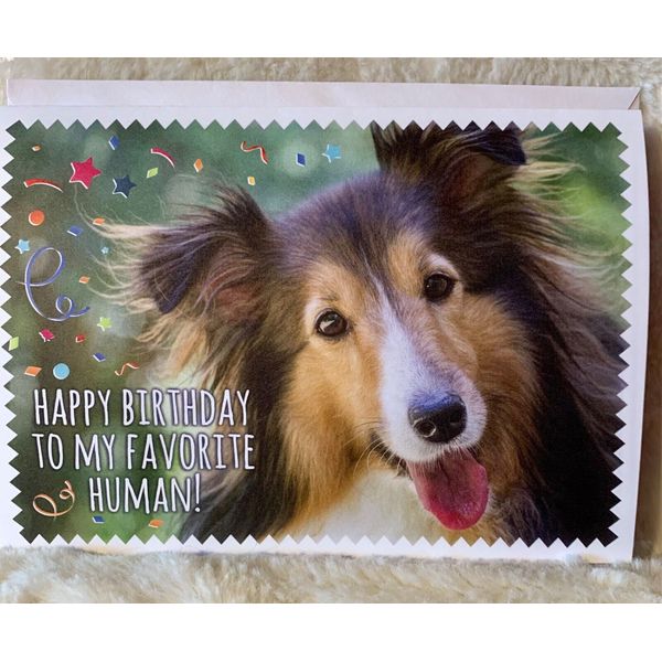 Happy Birthday Card Sweet Dog Puppy Collie Favorite Human