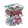 2 iDesign Plastic Pantry/Kitchen Storage Freezer and Fridge Organize