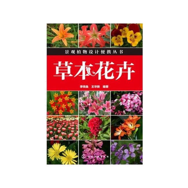 景观植物设计便携丛书-草本花卉【售后无忧】