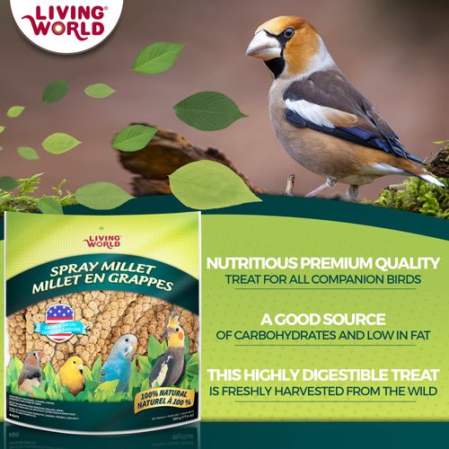 Living World - Spray Millet, 17.6 Oz – Premium Treat for Budgies, Canaries, Finches, Cockatiels and Other Pet Birds