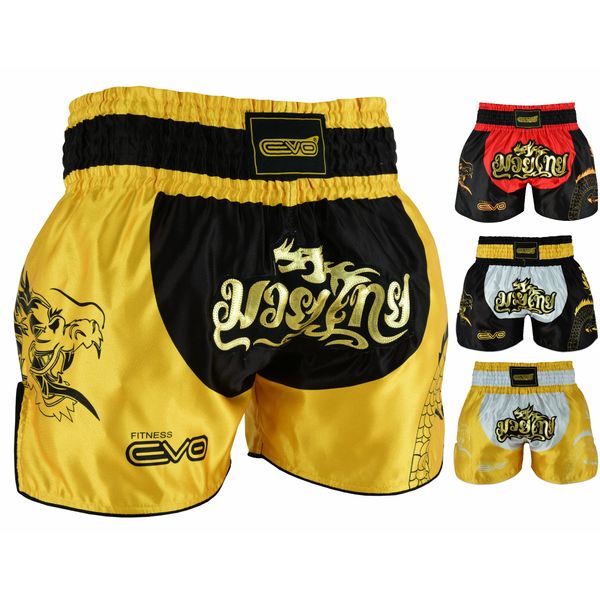 EVO Fitness Muay Thai Shorts MMA Martial Arts Grappling Kick boxing UFC Cage Fighting Gym Training Men Women Clothing Gear (X-Small, Black/Golden)