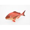 Red Snapper, Fish, Onaga, Rockfish, Realistic Rubber Model, Hand Painted Toy 7"