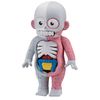 After School Horror Series Model Restoration Human Body