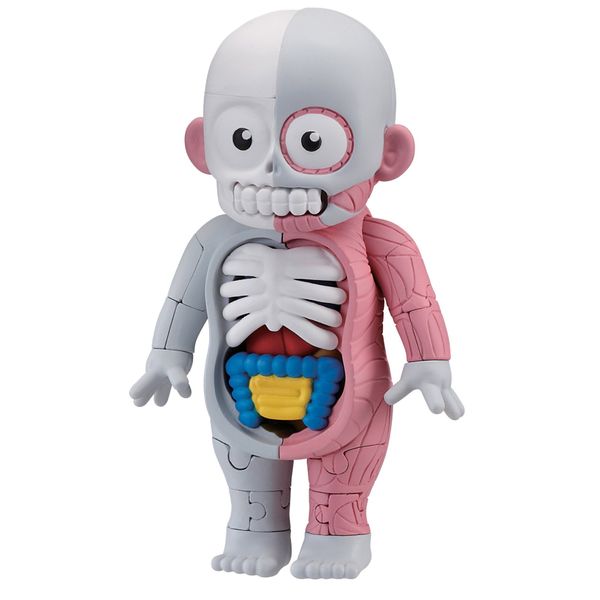 After School Horror Series Model Restoration Human Body