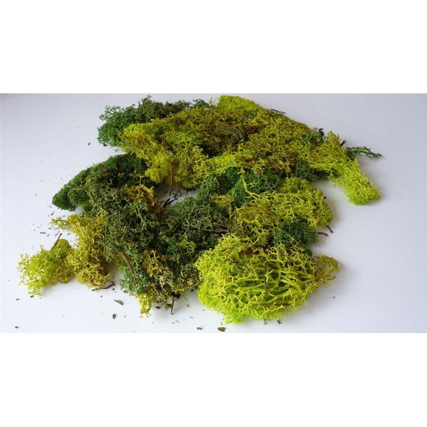 Javis Mixed Green Model Scenic Lichen - Approx 60 Grams