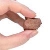 EISCO Red Slate Specimen (Metamorphic Rock), Approx. 1" (3cm)