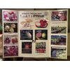 Grape flavor Sweet Dragon Fruit cutting - Variety Britt