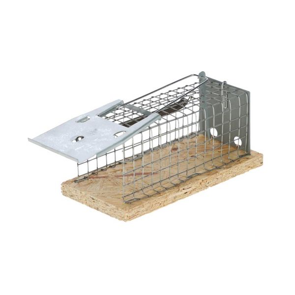 Kerbl 299618 Mouse Trap Wire Cage Mousecage, 1 Entrance