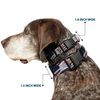 Buckle-Down Plastic Clip Collar - American Eagle Flags - 1" Wide - Fits 15-26" Neck - Large