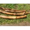 Rustic Wood Pole, Stick