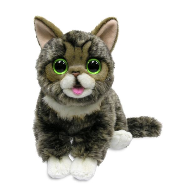 Cuddle Barn - Lil BUB | Soft Adorable Kitten Stuffed Animal Plush Toy, 10 inches