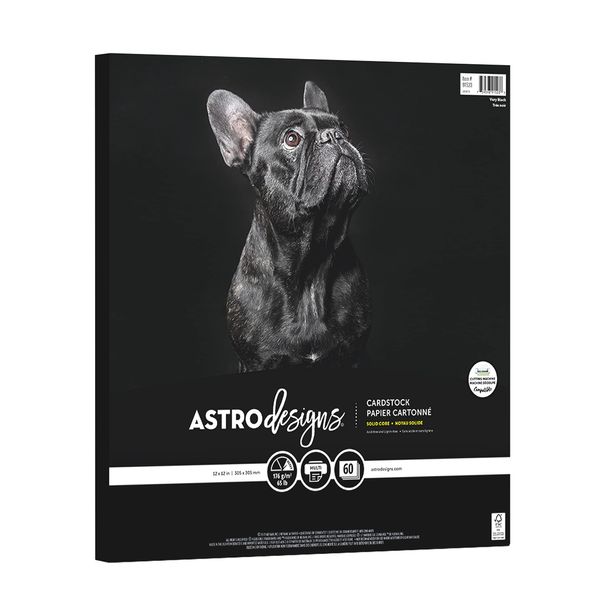 Astrodesigns Crafting Cardstock, 12" x 12", 65 lb/176 gsm, Very Black, 60 Sheets (91523)