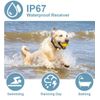 Dog Training Collar Upgraded 300m Remote Rechargeable Waterproof Electric Shock